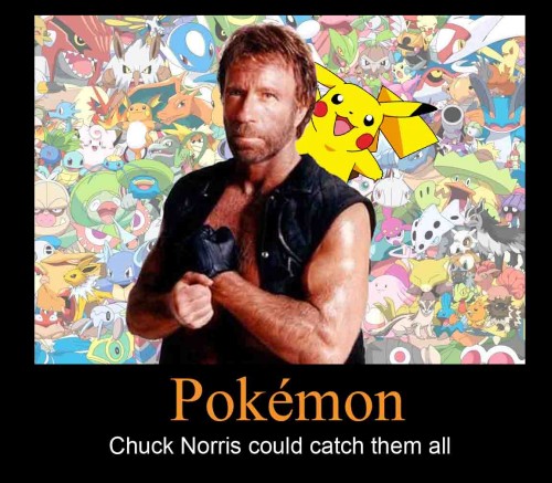 pokemon-chuck-norris-funny-pics-500x437.jpg